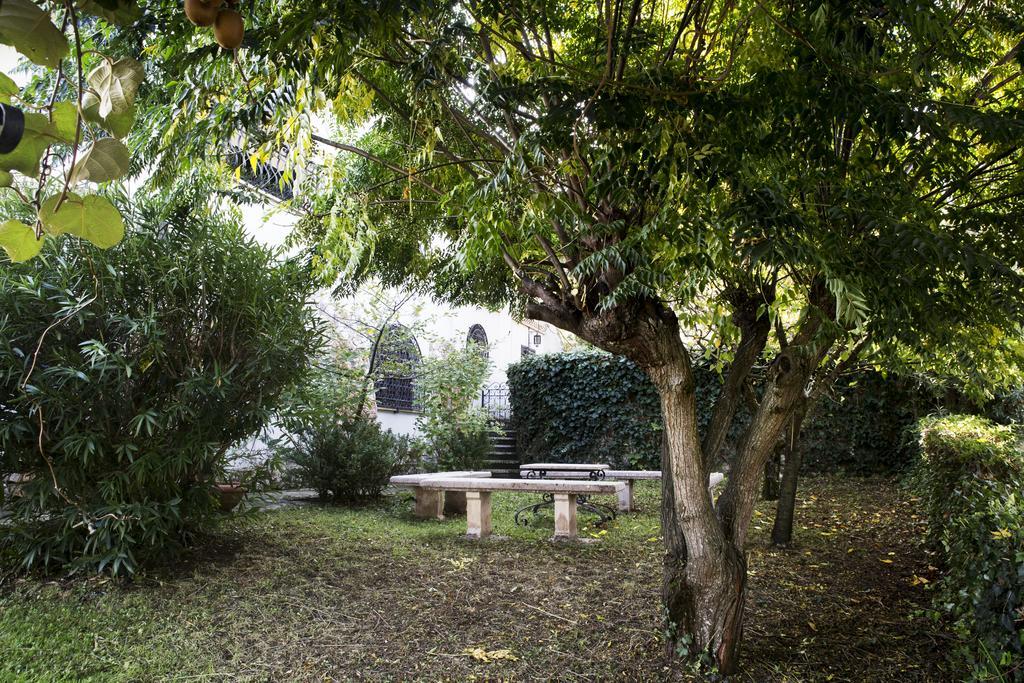 Il Pettirosso B&B Grottaferrata Exterior photo