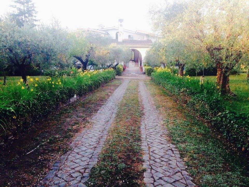 Il Pettirosso B&B Grottaferrata Exterior photo