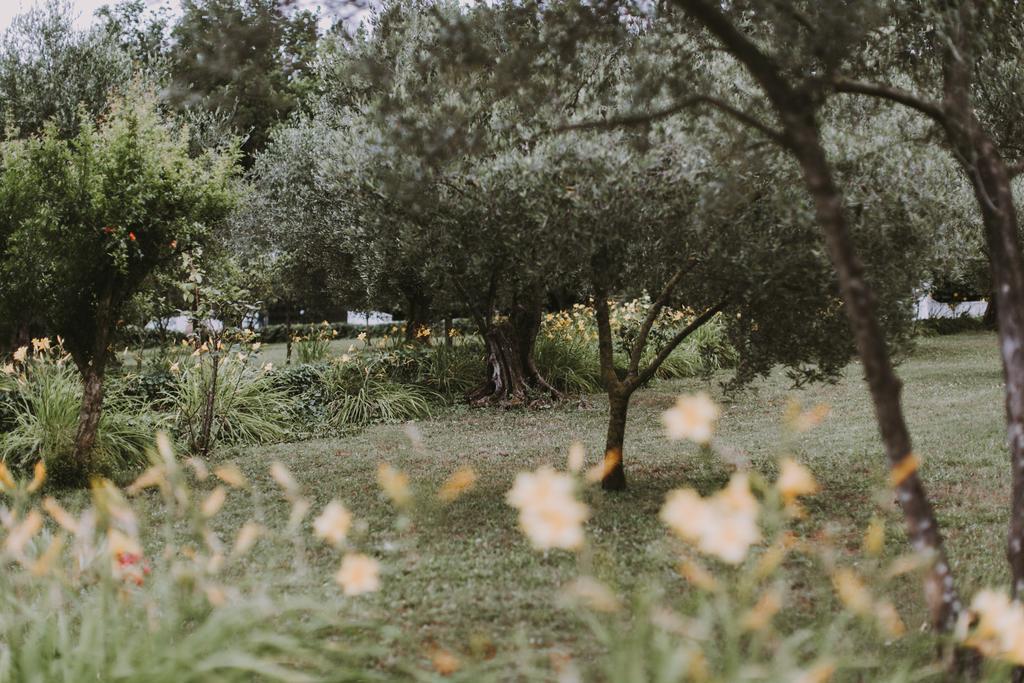 Il Pettirosso B&B Grottaferrata Exterior photo