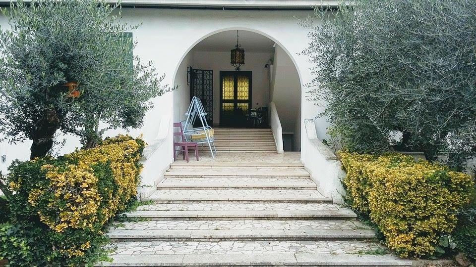 Il Pettirosso B&B Grottaferrata Exterior photo