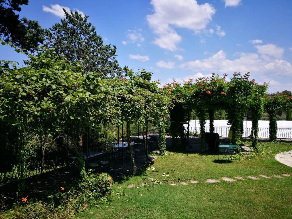 Il Pettirosso B&B Grottaferrata Exterior photo